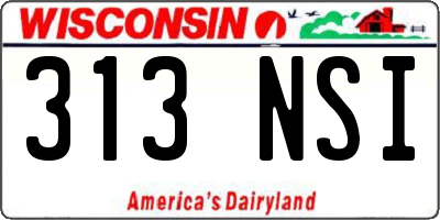 WI license plate 313NSI