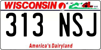 WI license plate 313NSJ