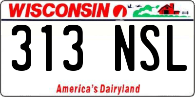 WI license plate 313NSL