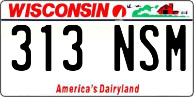 WI license plate 313NSM
