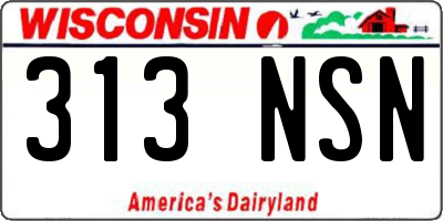 WI license plate 313NSN