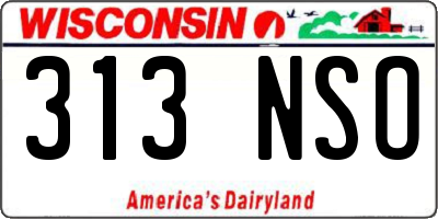 WI license plate 313NSO