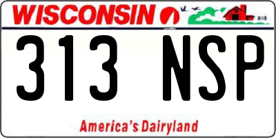 WI license plate 313NSP