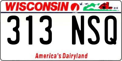 WI license plate 313NSQ