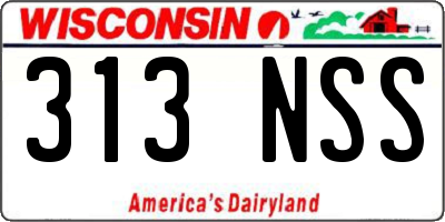 WI license plate 313NSS