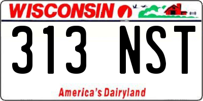 WI license plate 313NST