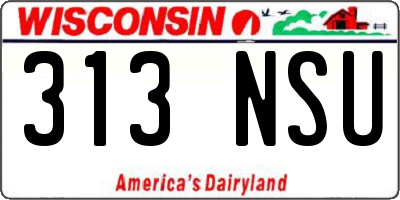 WI license plate 313NSU