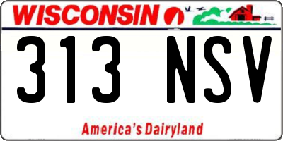 WI license plate 313NSV