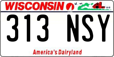 WI license plate 313NSY