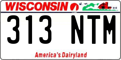 WI license plate 313NTM
