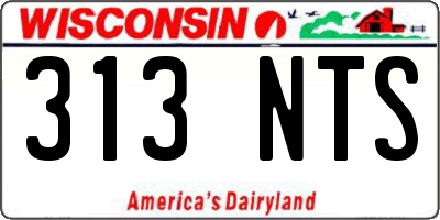 WI license plate 313NTS