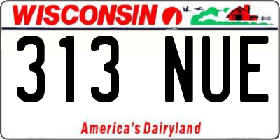 WI license plate 313NUE