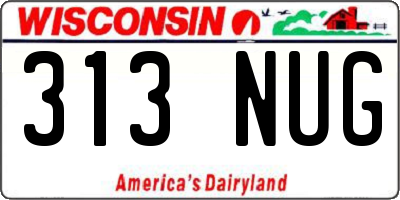 WI license plate 313NUG