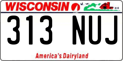 WI license plate 313NUJ