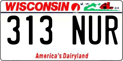 WI license plate 313NUR