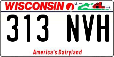 WI license plate 313NVH
