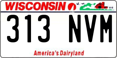 WI license plate 313NVM