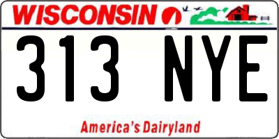 WI license plate 313NYE