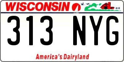 WI license plate 313NYG