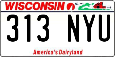 WI license plate 313NYU