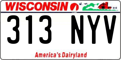 WI license plate 313NYV