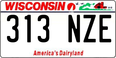 WI license plate 313NZE
