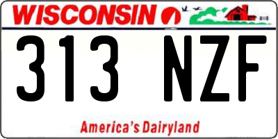 WI license plate 313NZF