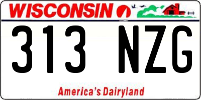 WI license plate 313NZG