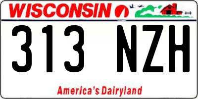 WI license plate 313NZH