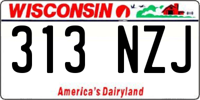 WI license plate 313NZJ