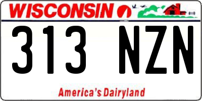 WI license plate 313NZN