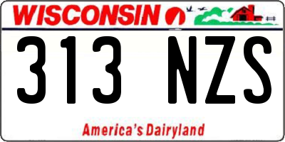WI license plate 313NZS