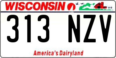 WI license plate 313NZV
