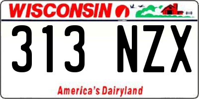 WI license plate 313NZX