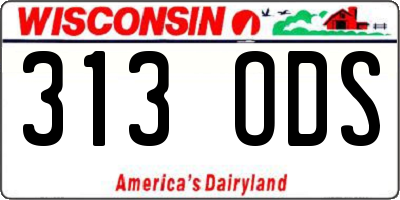 WI license plate 313ODS