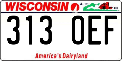 WI license plate 313OEF