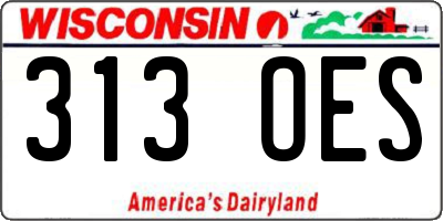 WI license plate 313OES