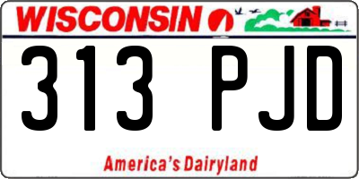 WI license plate 313PJD