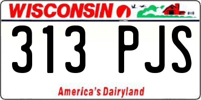 WI license plate 313PJS