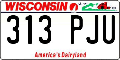 WI license plate 313PJU