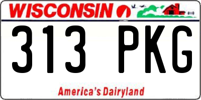 WI license plate 313PKG