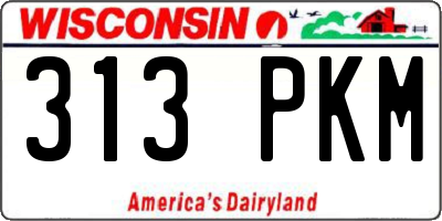 WI license plate 313PKM