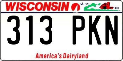 WI license plate 313PKN