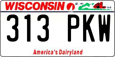 WI license plate 313PKW