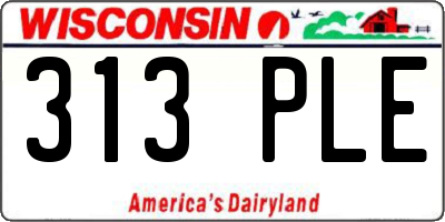 WI license plate 313PLE
