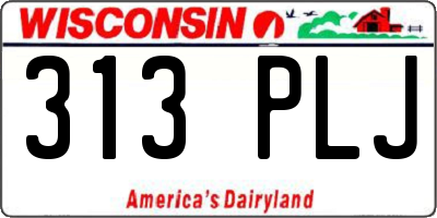 WI license plate 313PLJ