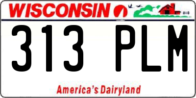 WI license plate 313PLM