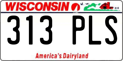 WI license plate 313PLS