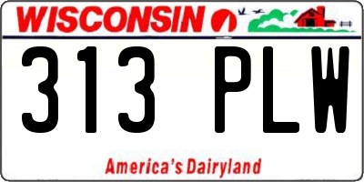 WI license plate 313PLW