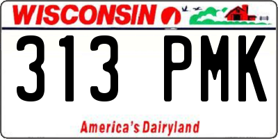 WI license plate 313PMK